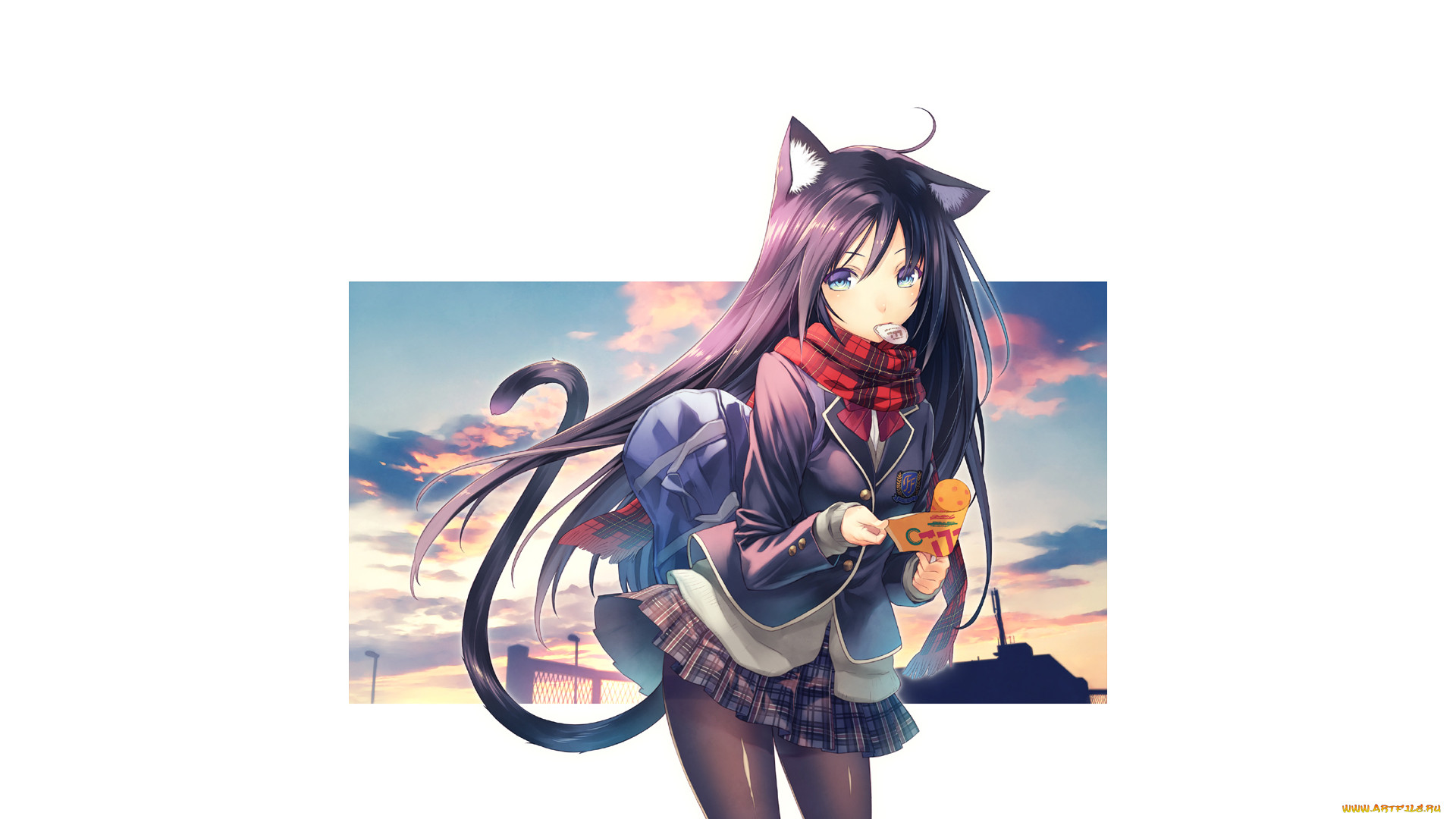 , ,  , , , 